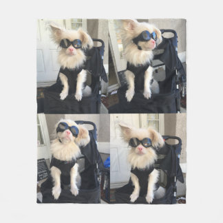 Lyckligt understödja riskerar på livfiltmedlet fleecefilt