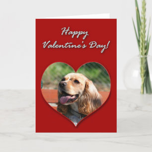 Lyckligt valentin kort för Spaniel för