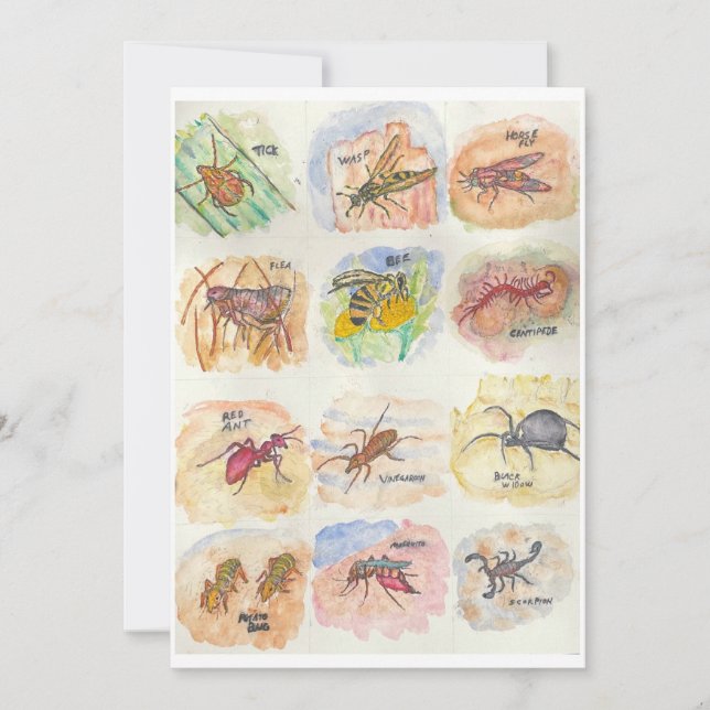 Lyckokort med färgglada bilder av tolv insekter julkort (Framsida)