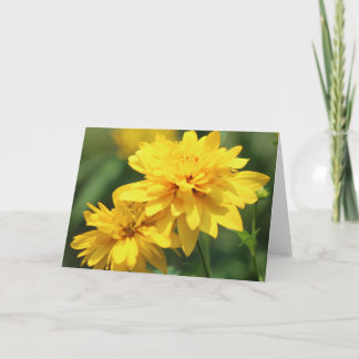 Lyckönskningskort med gul blomsteromslag kort