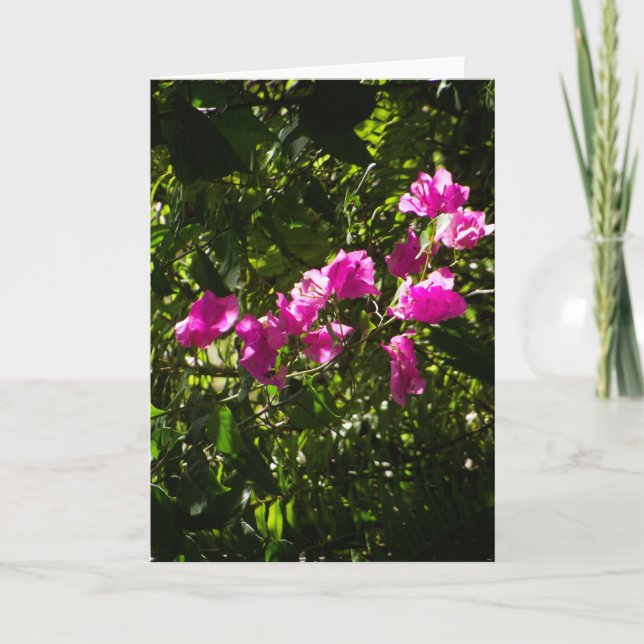 Lyckönskningskort med rosa blomsteromslag kort (Framsida)