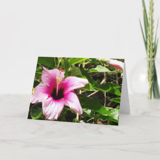 Lyckönskningskort med rosa blomsteromslag kort