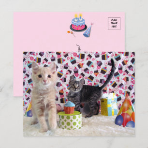 Lyckoönskningar på födelsedagen - Katt Postkort Vykort