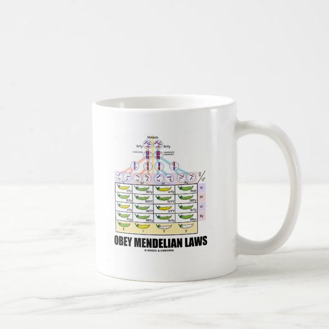 Lyda Mendelian lagar (Dihybrid arga ärtor) Kaffemugg (Höger)