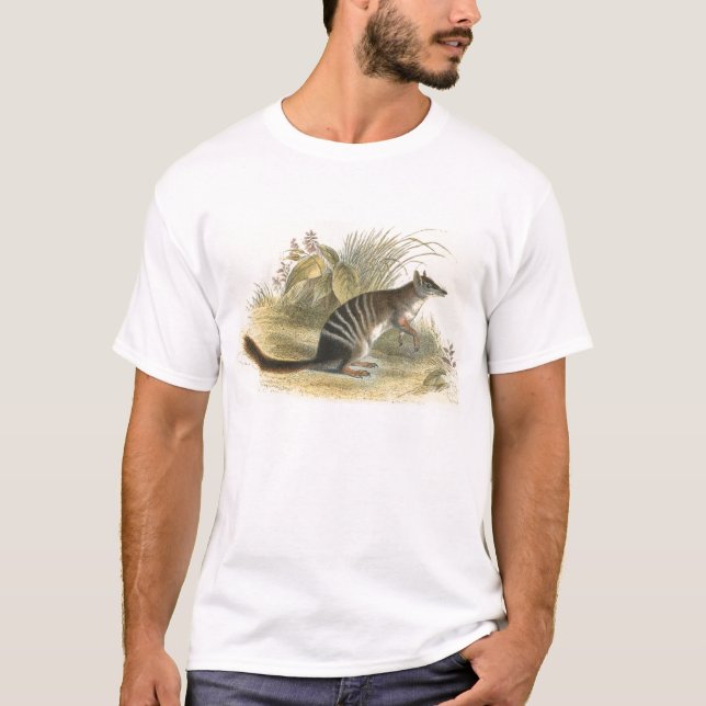 Lydekker - Banded Ant-Eater - Numbat T-shirt (Framsida)