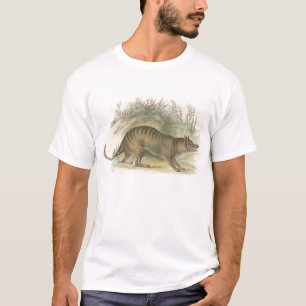 Lydekker - tylacin - Tasmanian Tiger T-shirt