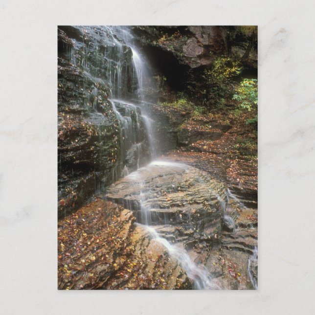 Lye Brook Falls Vermont Vykort (Framsida)