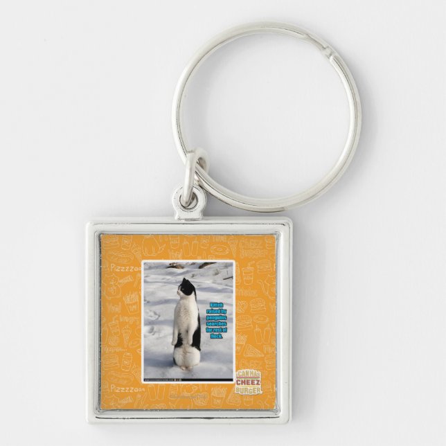 Lyftt av pingvin fyrkantig silverfärgad nyckelring (Framsidan)