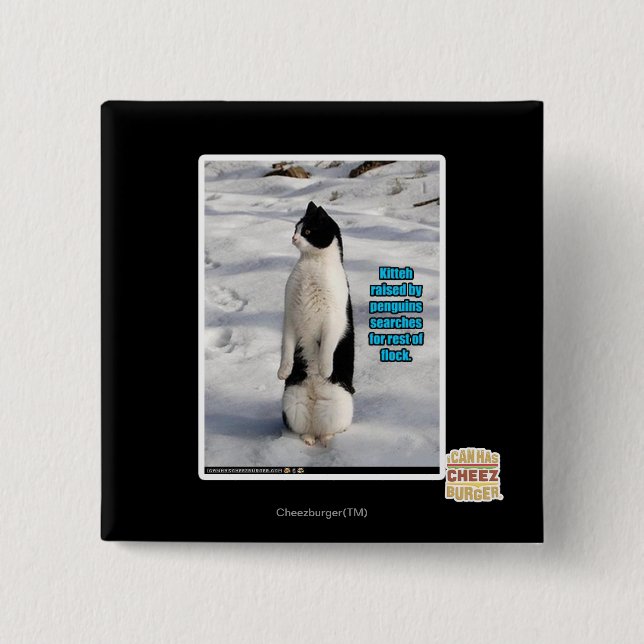 Lyftt av pingvin knapp (Framsida)