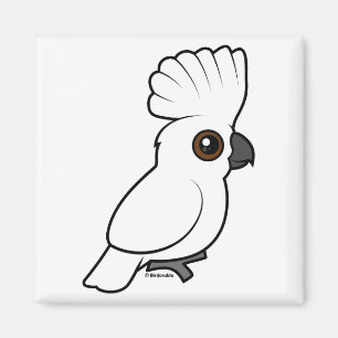 (Lyftt) paraplykakadua, Magnet