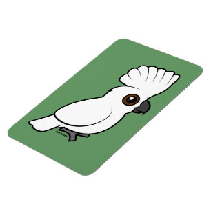 (Lyftt) paraplykakadua, Magnet
