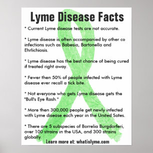 Lyme Disease Facts Education Poster