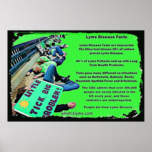 Lyme Disease Fakta Affisch (Framsidan)