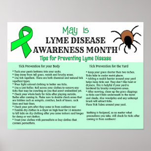 Lyme Disease Prevention Education Poster
