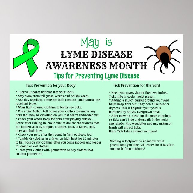 Lyme Disease Prevention Education Poster (Framsidan)