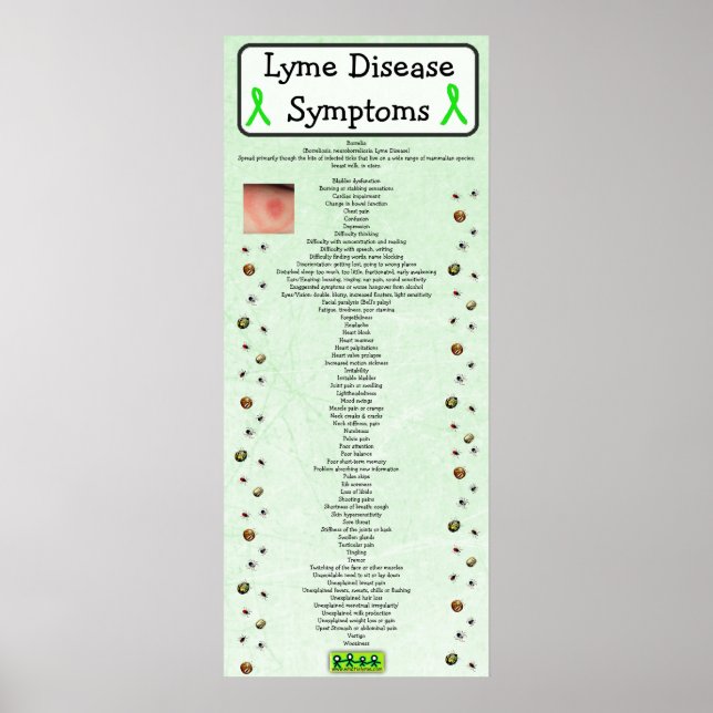 Lyme Disease Symptoms Diagram Poster utbildning (Framsidan)
