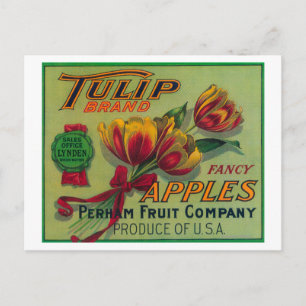 Lynden, WashingtonTulip Apple Låda-etikett Vykort