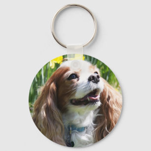 Lynnande Blenheim Cavalier King Charles Spaniel Nyckelring