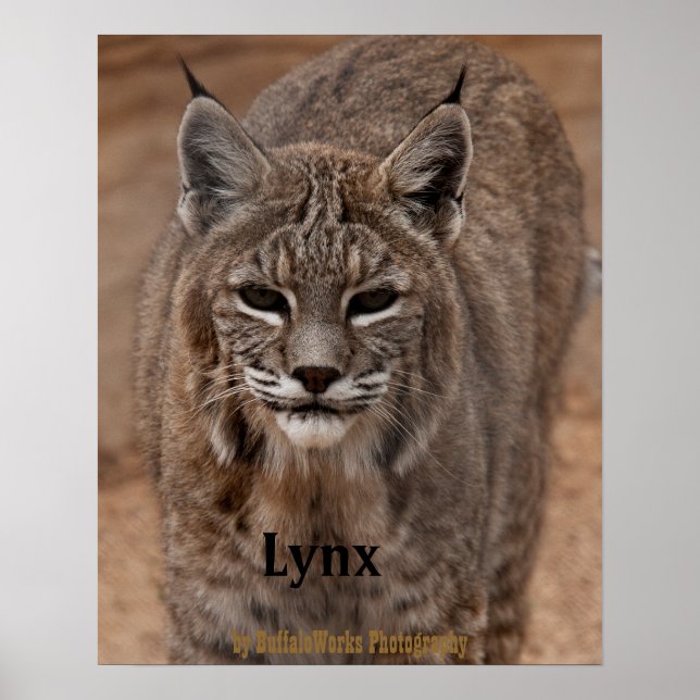 Lynx 5214 poster (Framsidan)