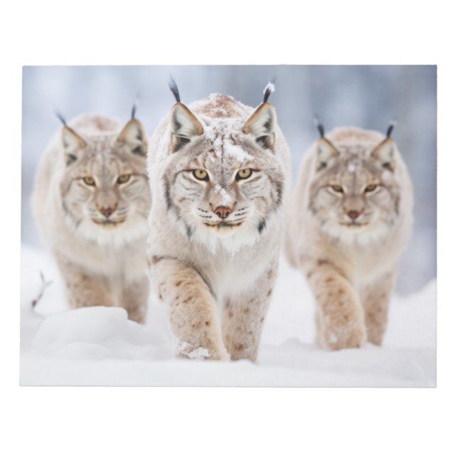 Lynx Animal Family Wandering Nature Anteckningsblock (Framsida)