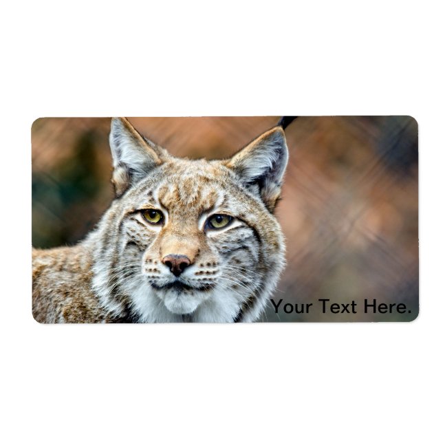 Lynx Bobcat Wildlife Predator Cat Fraktsedel (Framsidan)