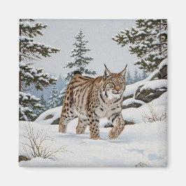 Lynx i Fulufjället National Park Sverige Travel Magnet