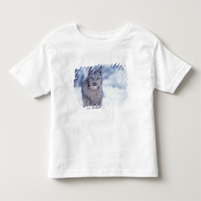 Lynx i snö i fotgängarna tee shirt (Framsida)