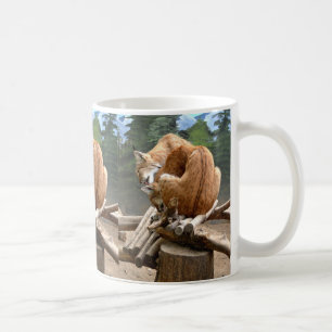 Lynx-katter Kaffemugg