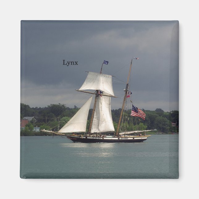 Lynx magnet (Framsidan)