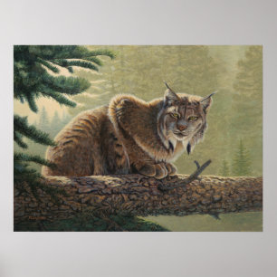 Lynx-målning - poster