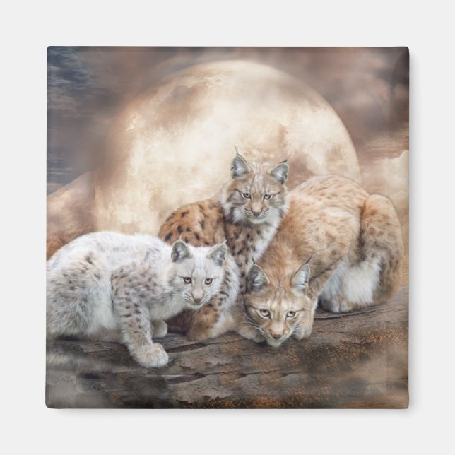 Lynx Måne Art Magnet (Framsidan)