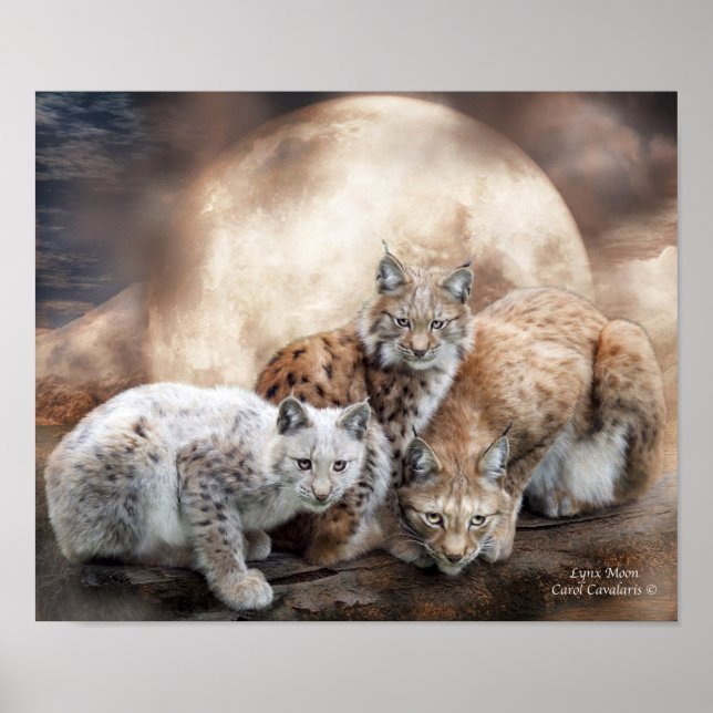 Lynx Måne Art-Poster/skriv ut Poster (Framsidan)