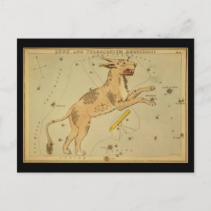 Lynx och Telescopium Herschilii Vykort
