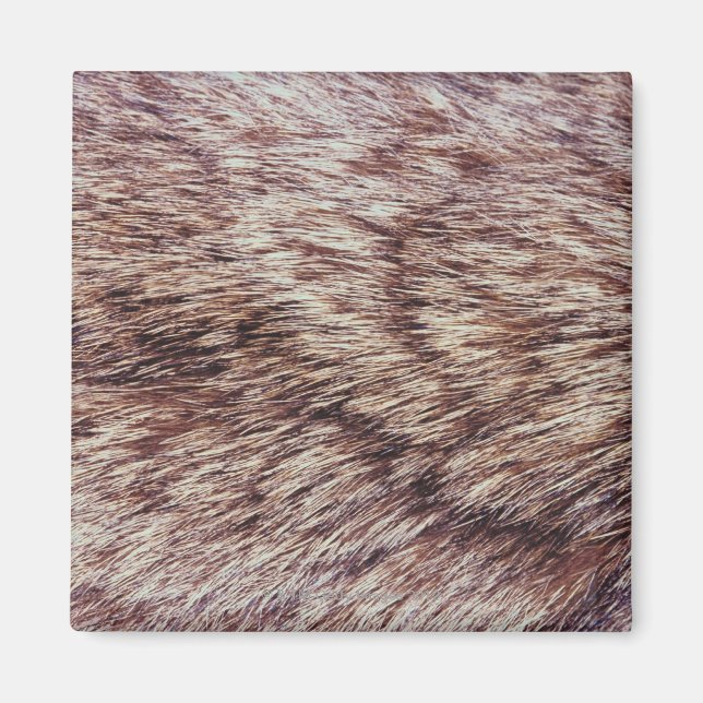 Lynx päls magnet (Framsidan)