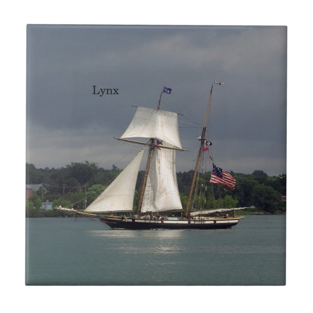 Lynx-panel Kakelplatta (Framsidan)