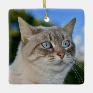 Lynx Point Cat med blå Ögon Julgransprydnad Keramik