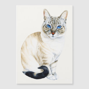 Lynx Point Siamese Cat Magnetic Card