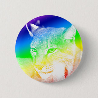 Lynx Rainbow Highlights Knapp