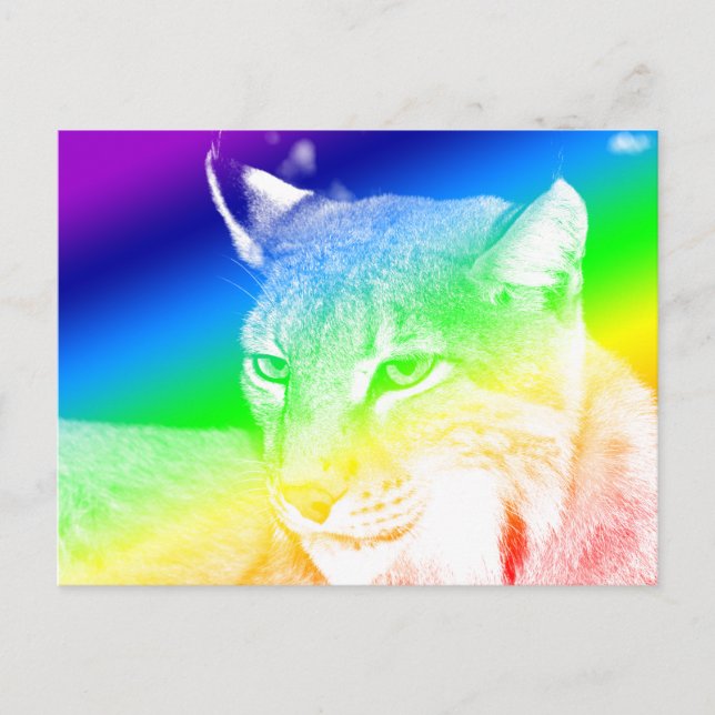 Lynx Rainbow Highlights Vykort (Framsida)