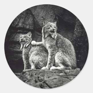 Lynx Runt Klistermärke