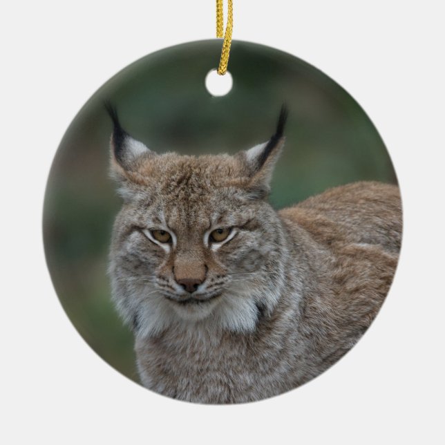 Lynx Tittar åt dig Julgransprydnad Keramik (Framsidan)