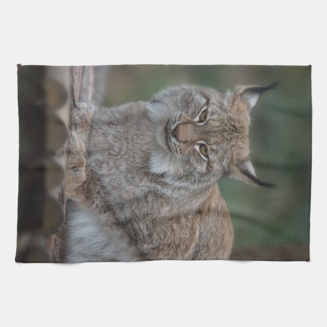 Lynx Tittar på din Fleece Blanket Kökshandduk (Horisontell)