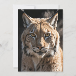 Lynx Vild Animal Elegant Dramatic Mist Porträtt Meddelande