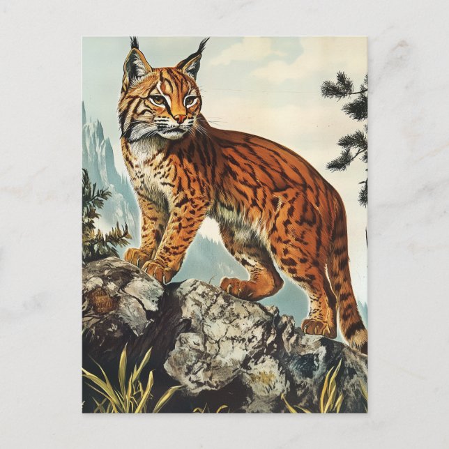 Lynx-vintage Vykort (Framsida)