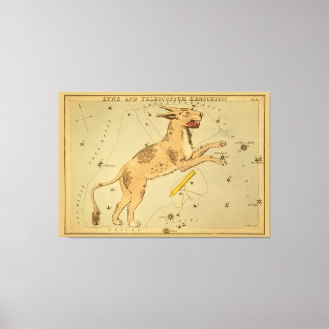 Lynx - Vintagens astronomiska stjärndiagram - bild (Framsida)