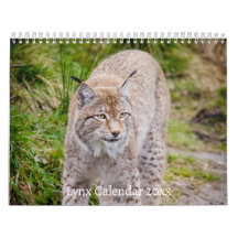 Lynx Wildlife Calendar