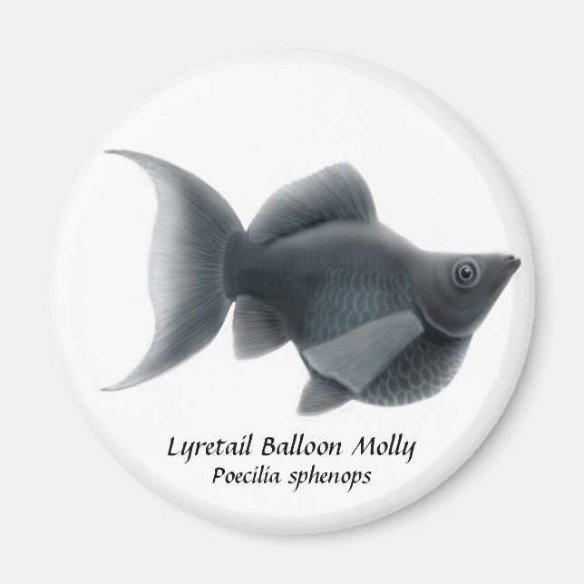 LyRetail Balloon Molly Magnet (Framsidan)