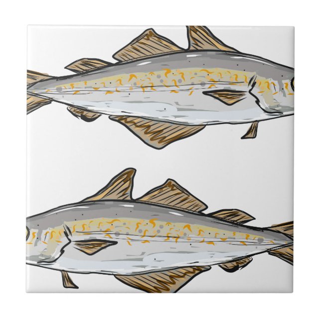 Lyrtorskfisken skissar kakelplatta (Framsidan)