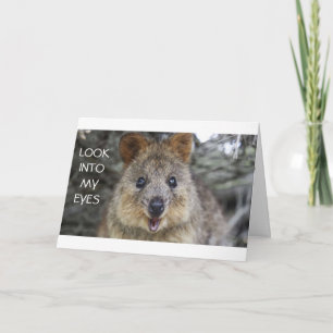 *LYSSNA PÅ VAD JAG SÄGER/HAR BÄSTA BIRTHDAY NÅGONS KORT