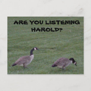 LYSSNAR DU PÅ HAROLD? VYKORT